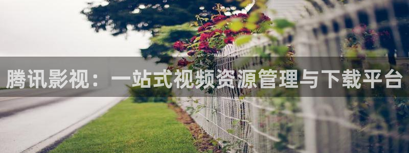 久久天堂影院：腾讯影视：一站式视频资源管理与下载平台